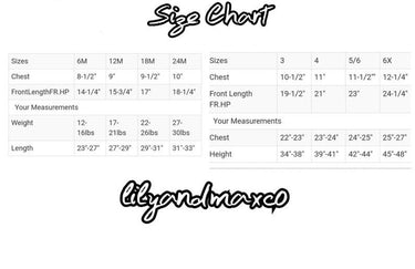 Wild One Fringe Dress: Boho 1st Birthday Outfit